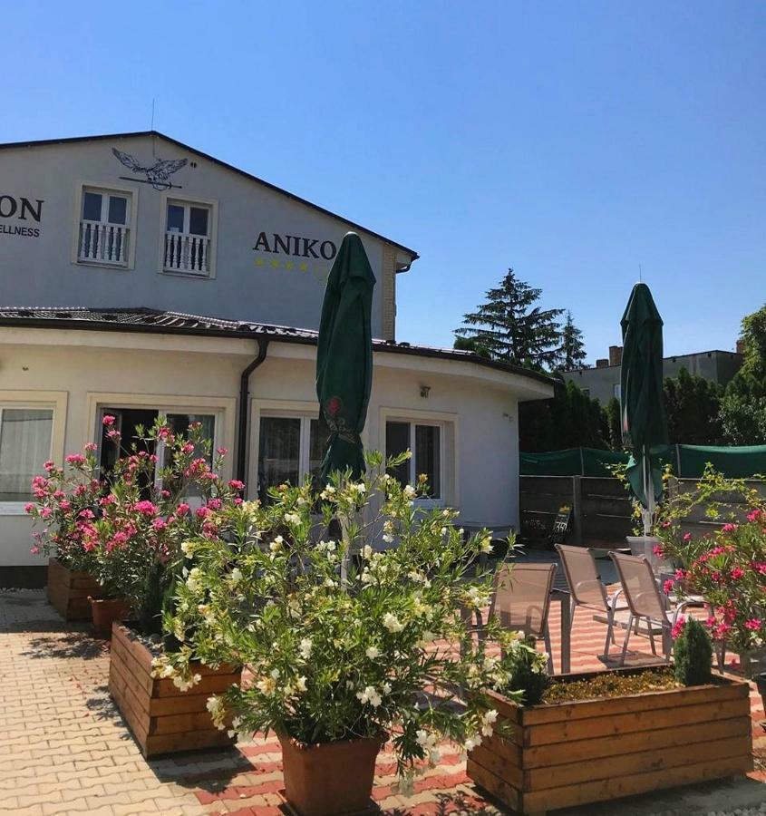 Penzion Aniko Gold *** Horne Saliby Exterior photo
